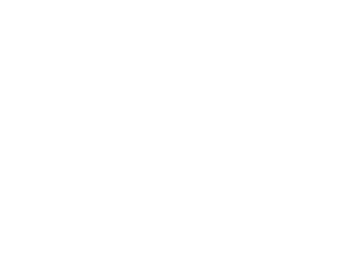 Logo usados cactus